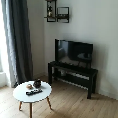Apartment Wifi Refait A Neuf Au Coeur Du Puy-en-velay